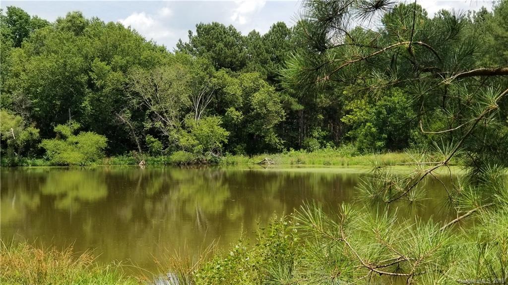 0 Medlin Road, Unit 3 Monroe, NC 28112 - Photo 1 of 4 a view of a lake view with a garden
