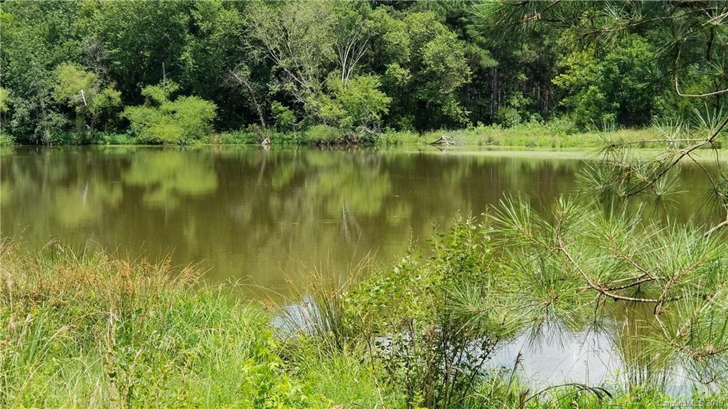 0 Medlin Road, Unit 3 Monroe, NC 28112 - Photo 3 of 4 a view of a lake view with a garden