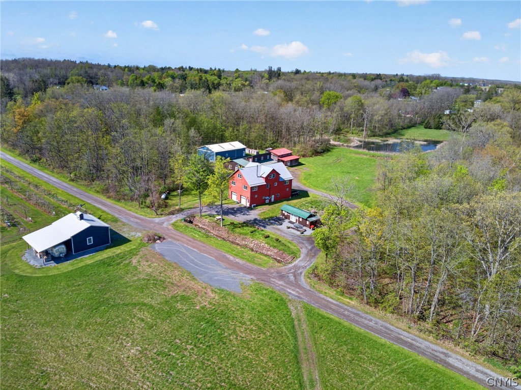 4675 Seneca Road Covert, NY 14886 - Photo 49 of 50