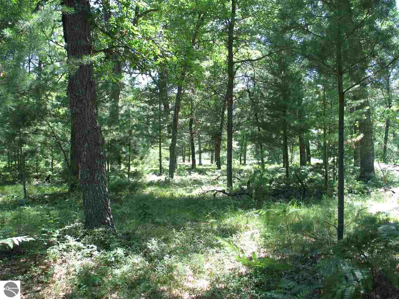 2720 Allen Road Hale, MI 48739 - Photo 6 of 32 1788112-5.JPG