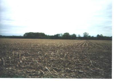 8801 Keehn Road Baroda, MI 49101 - Photo 1 of 1 Primary Photo