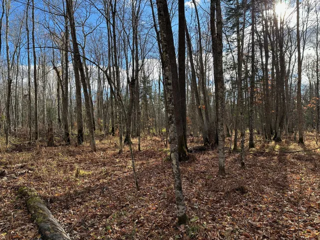 $239,000 | 65 Verdon Twp Mn 55752, Jacobson, MN 55752