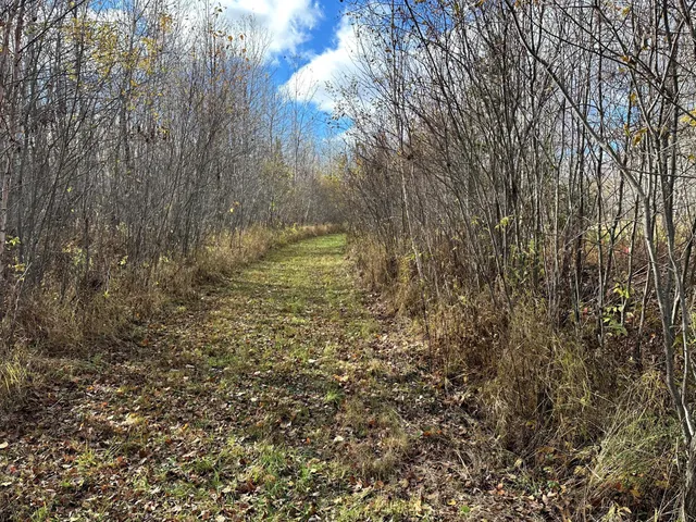 $239,000 | 65 Verdon Twp Mn 55752, Jacobson, MN 55752