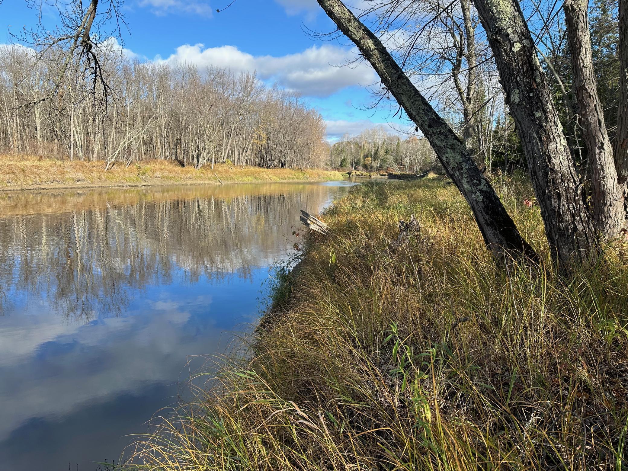 65 Jacobson Mn 55752 Jacobson, MN 55752 - Photo 14 of 62