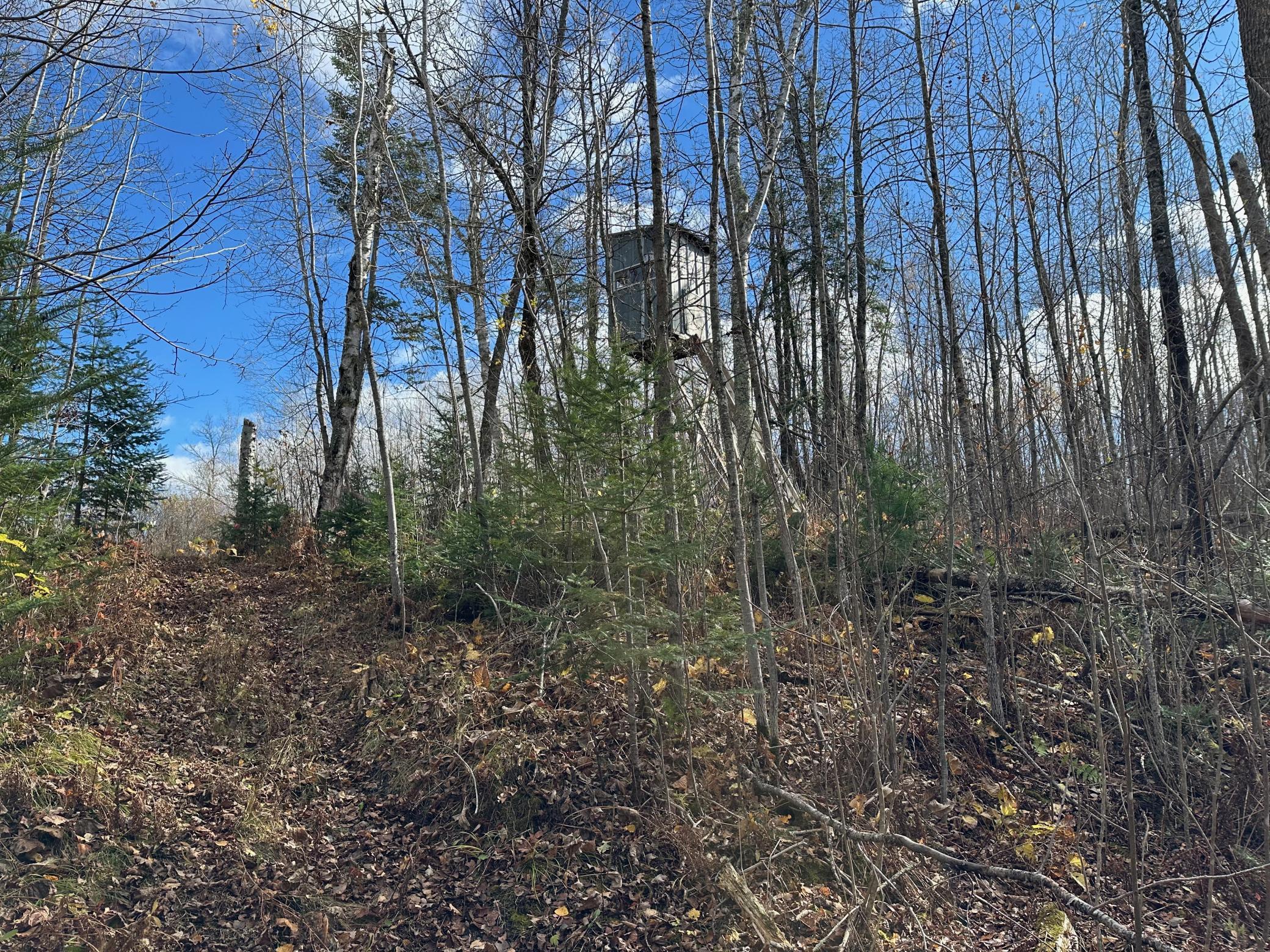 65 Jacobson Mn 55752 Jacobson, MN 55752 - Photo 15 of 62