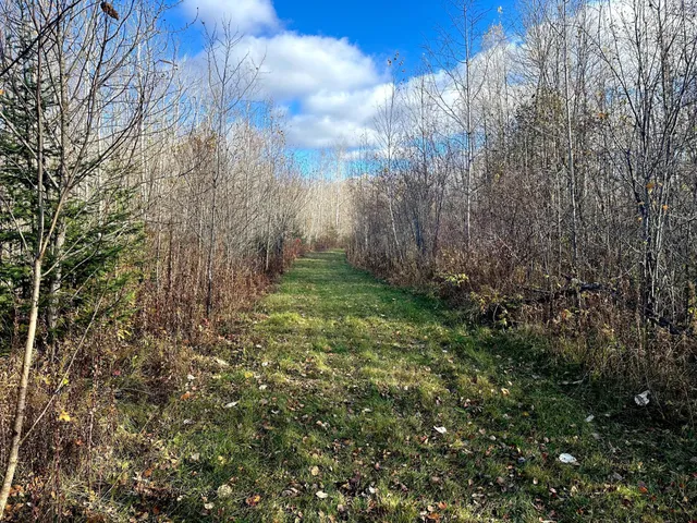 $239,000 | 65 Verdon Twp Mn 55752, Jacobson, MN 55752