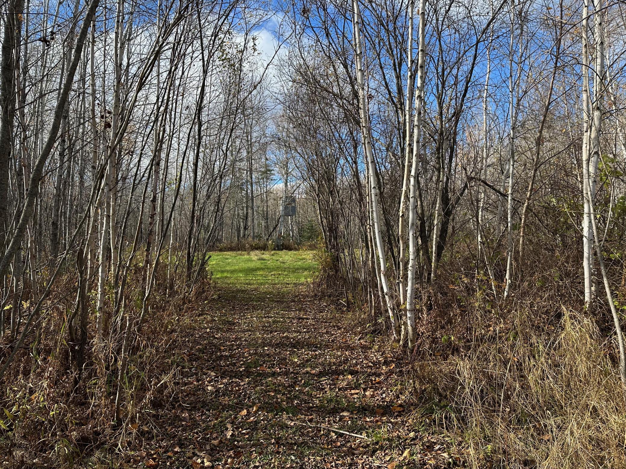 65 Jacobson Mn 55752 Jacobson, MN 55752 - Photo 18 of 62