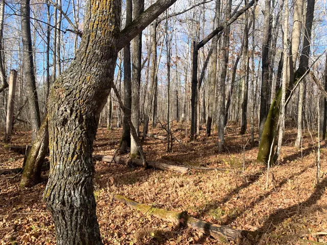 $239,000 | 65 Verdon Twp Mn 55752, Jacobson, MN 55752