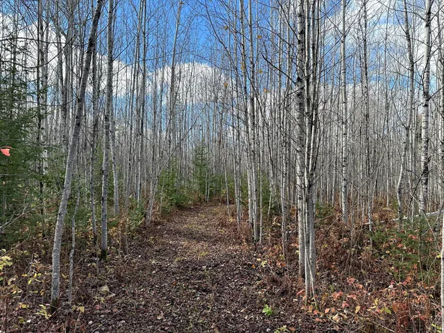 $239,000 | 65 Verdon Twp Mn 55752, Jacobson, MN 55752