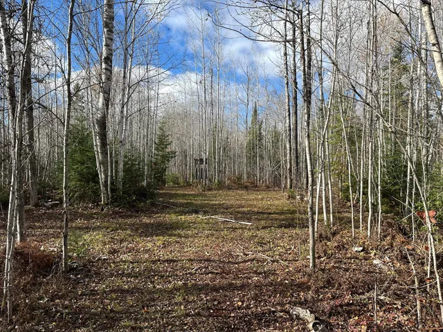 $239,000 | 65 Verdon Twp Mn 55752, Jacobson, MN 55752