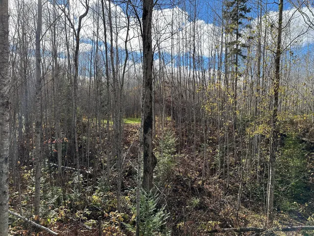 $239,000 | 65 Verdon Twp Mn 55752, Jacobson, MN 55752