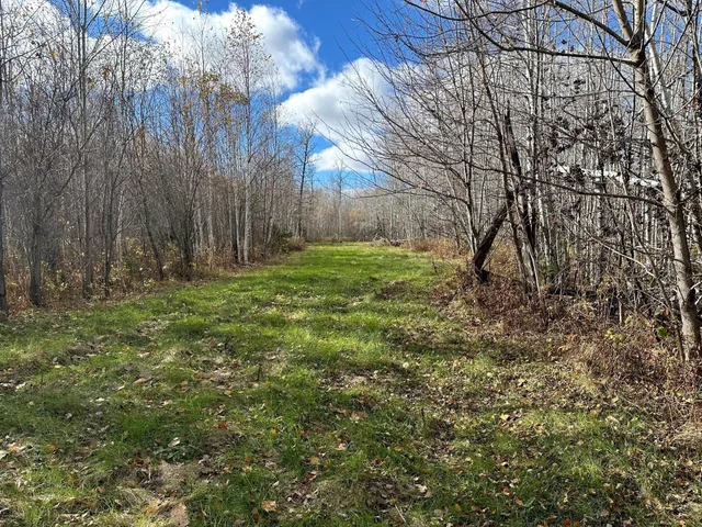 $239,000 | 65 Verdon Twp Mn 55752, Jacobson, MN 55752