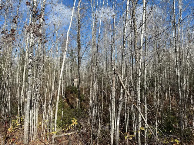 $239,000 | 65 Verdon Twp Mn 55752, Jacobson, MN 55752