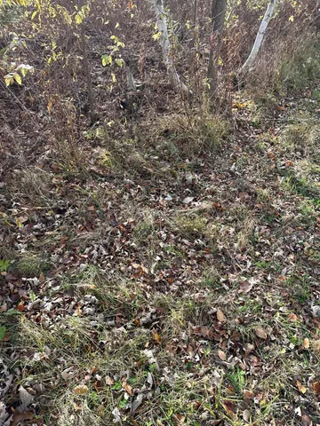 $239,000 | 65 Verdon Twp Mn 55752, Jacobson, MN 55752