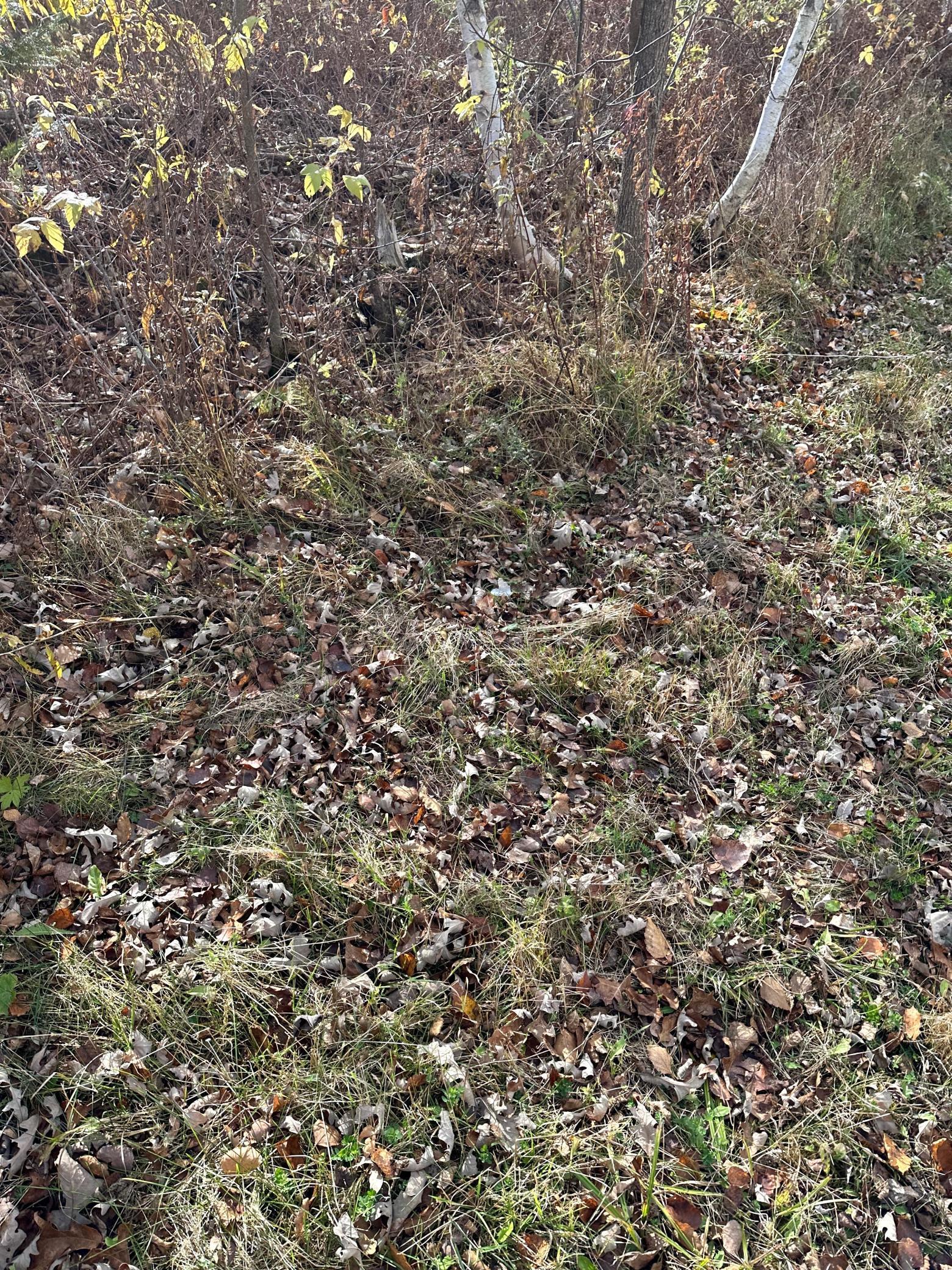 65 Jacobson Mn 55752 Jacobson, MN 55752 - Photo 27 of 62