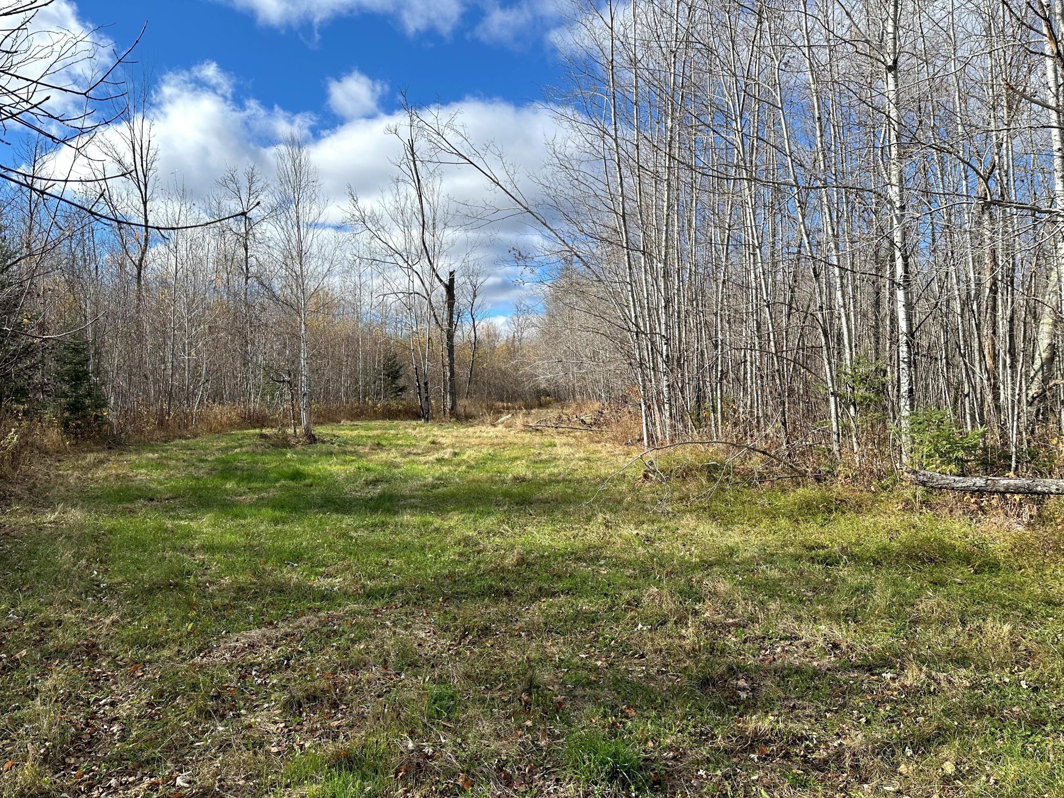 65 Jacobson Mn 55752 Jacobson, MN 55752 - Photo 28 of 62