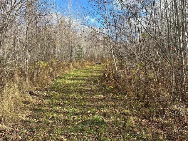 $239,000 | 65 Verdon Twp Mn 55752, Jacobson, MN 55752