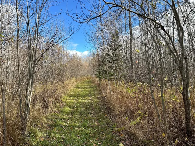 $239,000 | 65 Verdon Twp Mn 55752, Jacobson, MN 55752