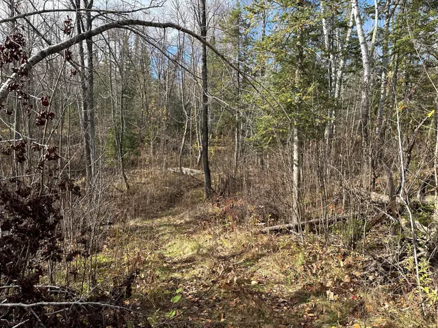 $239,000 | 65 Verdon Twp Mn 55752, Jacobson, MN 55752