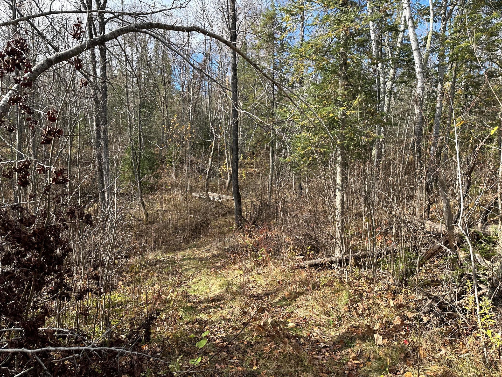 65 Jacobson Mn 55752 Jacobson, MN 55752 - Photo 31 of 62