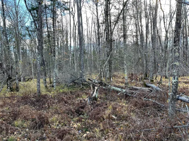 $239,000 | 65 Verdon Twp Mn 55752, Jacobson, MN 55752