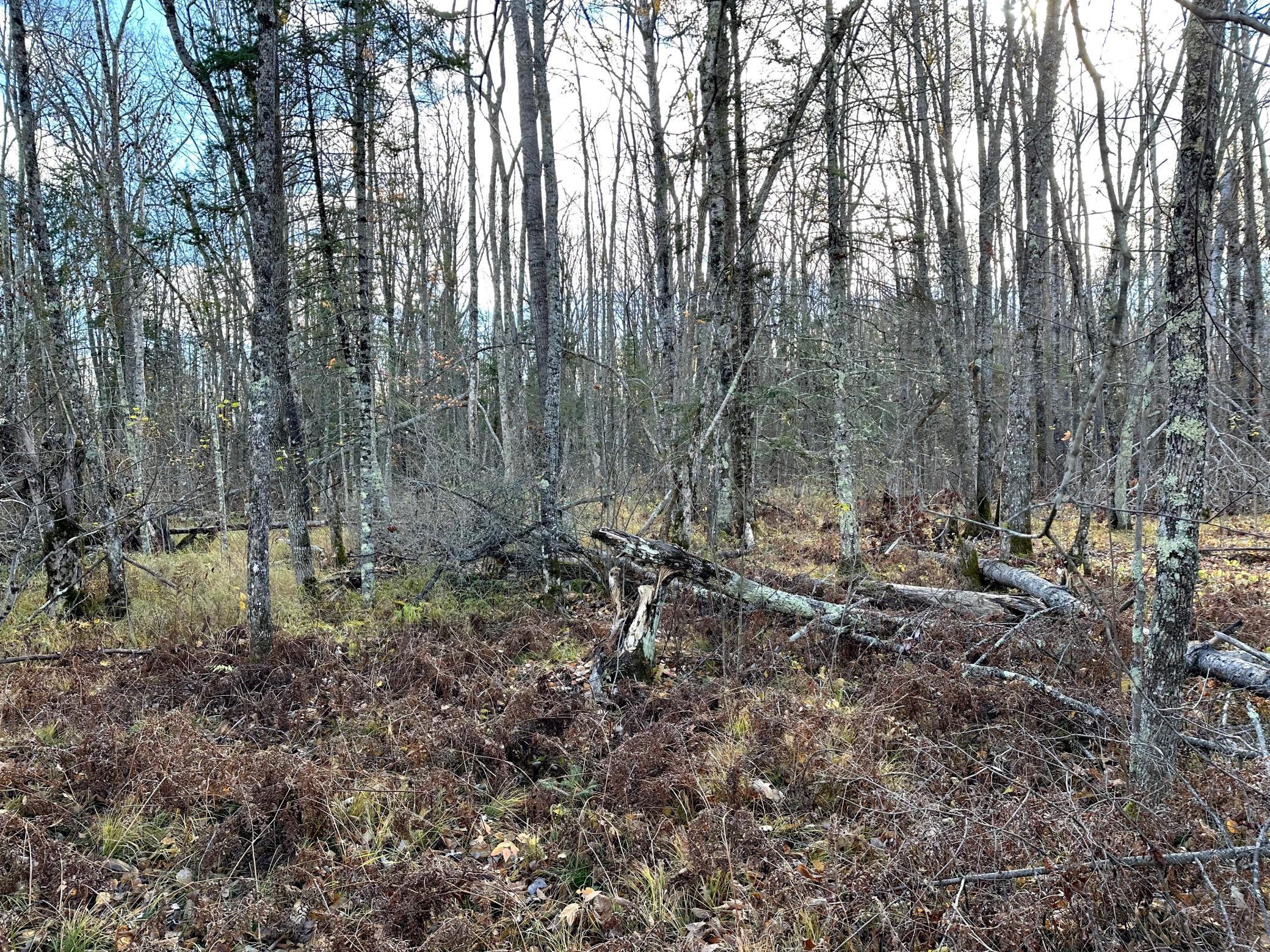 65 Jacobson Mn 55752 Jacobson, MN 55752 - Photo 33 of 62