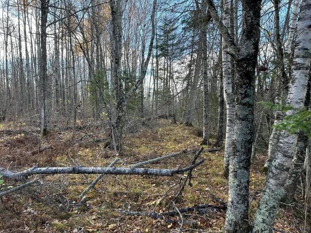 $239,000 | 65 Verdon Twp Mn 55752, Jacobson, MN 55752