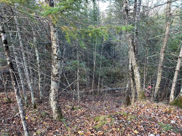 $239,000 | 65 Verdon Twp Mn 55752, Jacobson, MN 55752