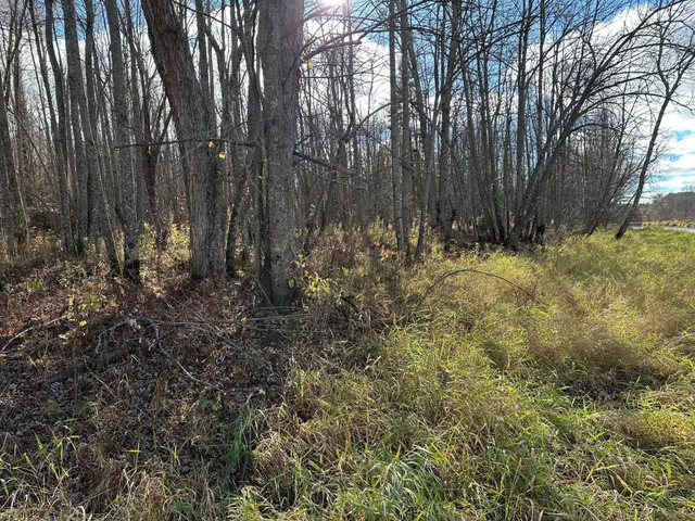 $239,000 | 65 Verdon Twp Mn 55752, Jacobson, MN 55752