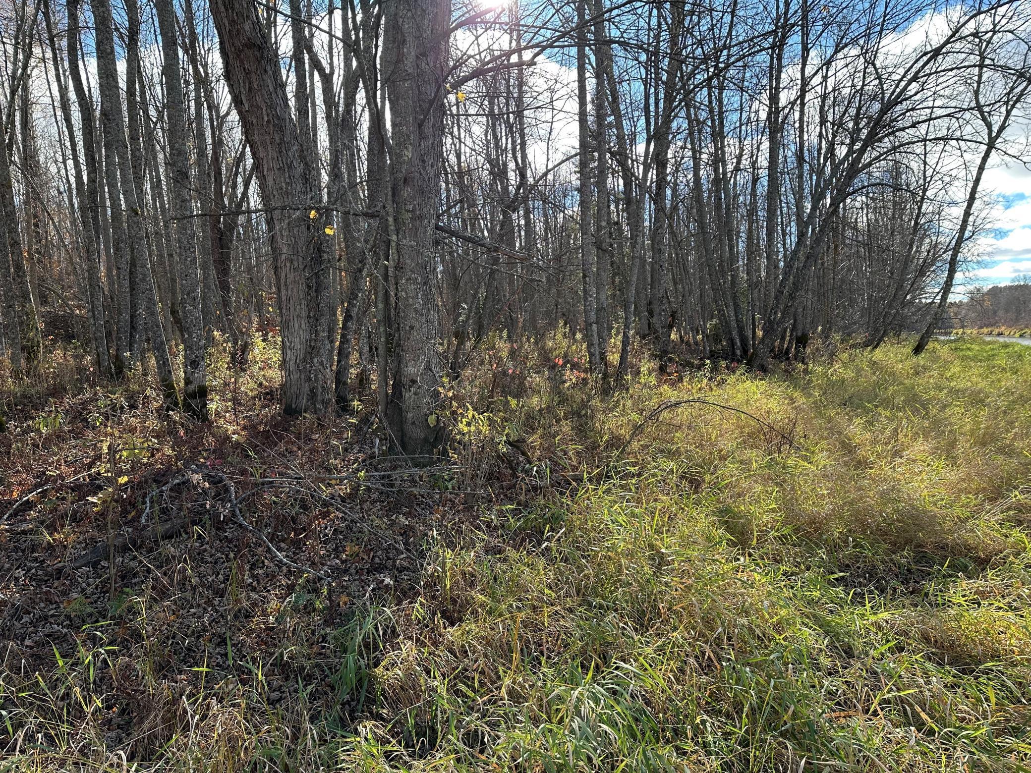 65 Jacobson Mn 55752 Jacobson, MN 55752 - Photo 38 of 62