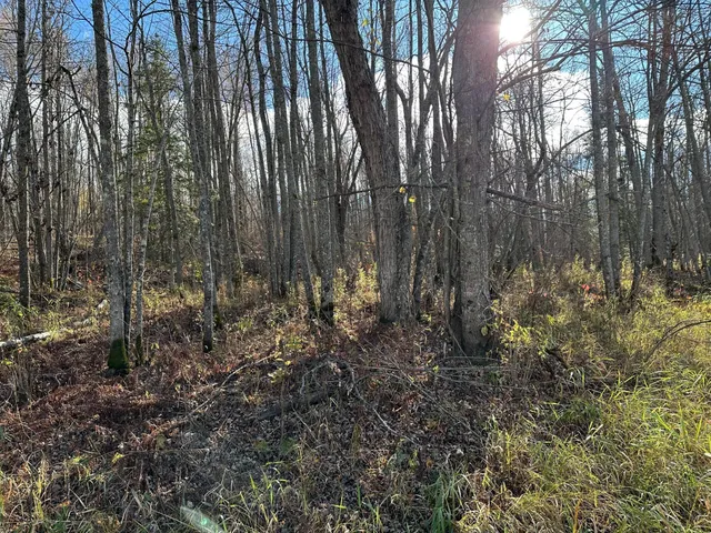 $239,000 | 65 Verdon Twp Mn 55752, Jacobson, MN 55752