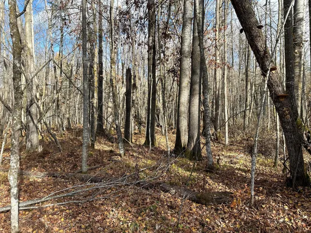 $239,000 | 65 Verdon Twp Mn 55752, Jacobson, MN 55752