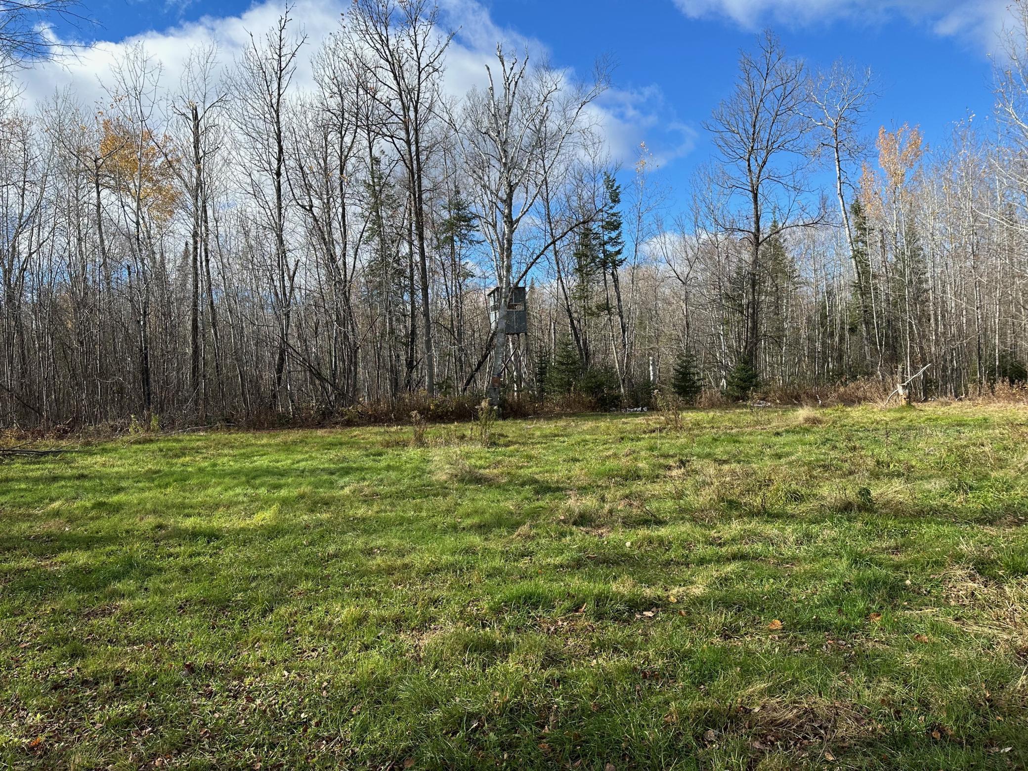 65 Jacobson Mn 55752 Jacobson, MN 55752 - Photo 4 of 62