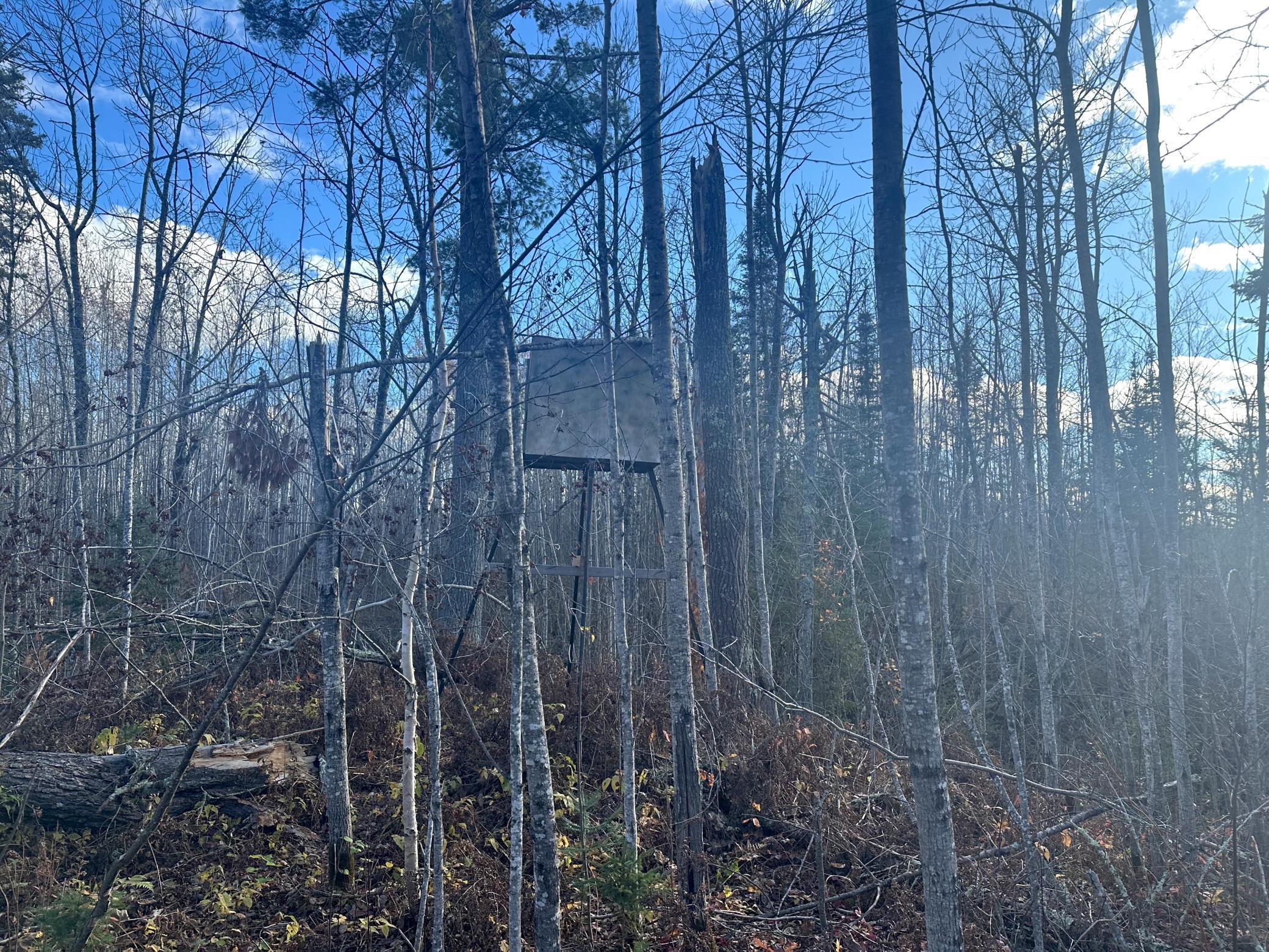 65 Jacobson Mn 55752 Jacobson, MN 55752 - Photo 41 of 62