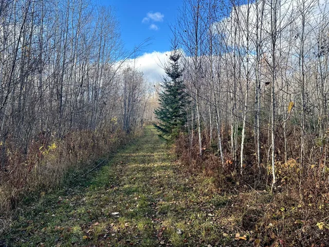 $239,000 | 65 Verdon Twp Mn 55752, Jacobson, MN 55752