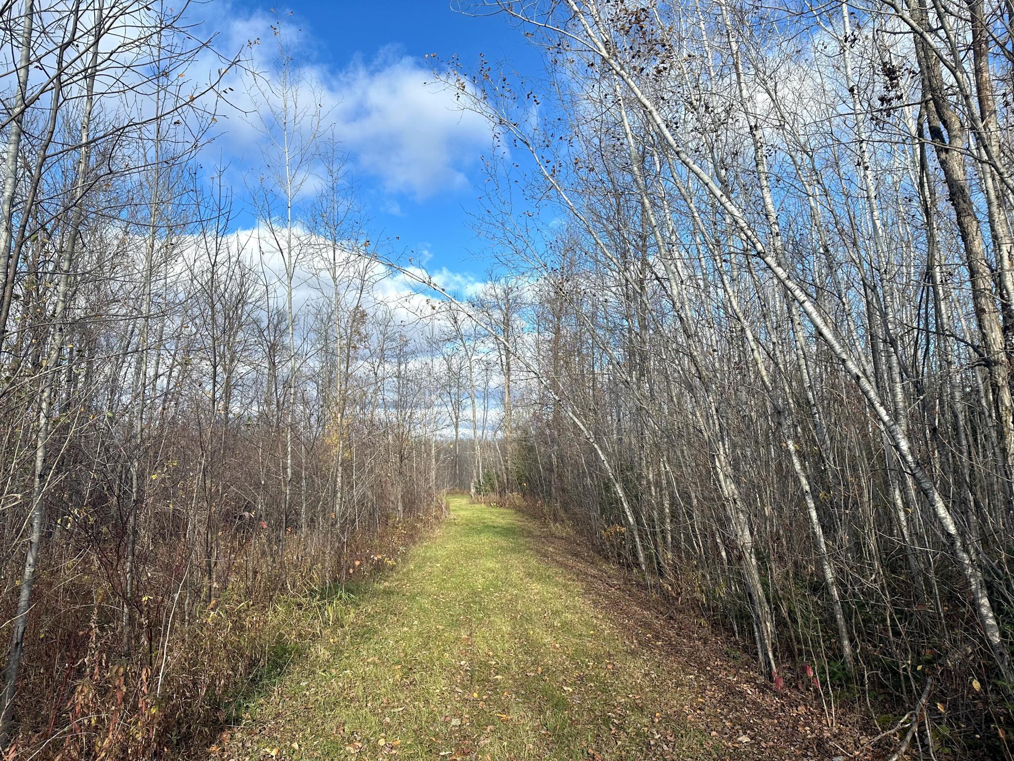 65 Jacobson Mn 55752 Jacobson, MN 55752 - Photo 43 of 62