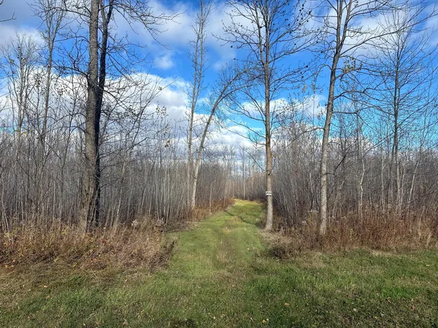 $239,000 | 65 Verdon Twp Mn 55752, Jacobson, MN 55752