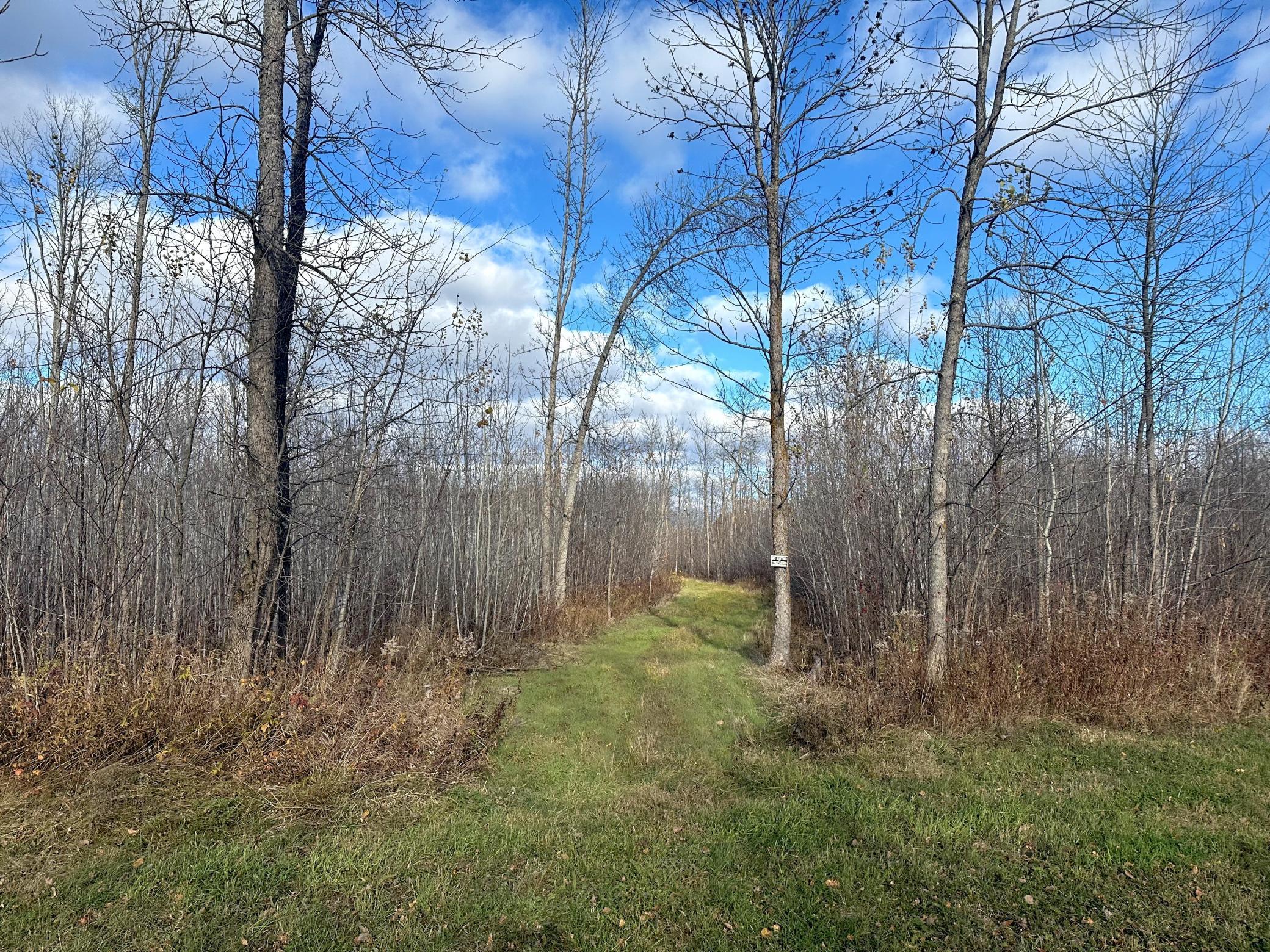 65 Jacobson Mn 55752 Jacobson, MN 55752 - Photo 44 of 62