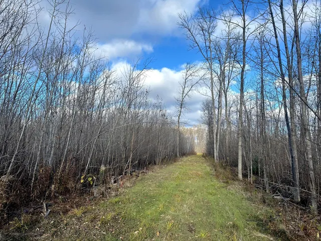 $239,000 | 65 Verdon Twp Mn 55752, Jacobson, MN 55752