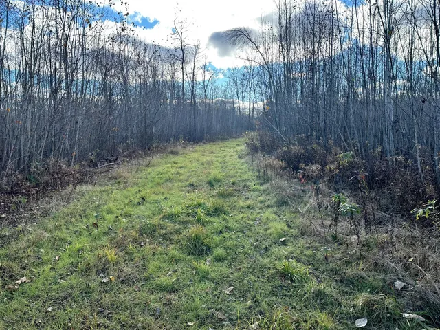 $239,000 | 65 Verdon Twp Mn 55752, Jacobson, MN 55752