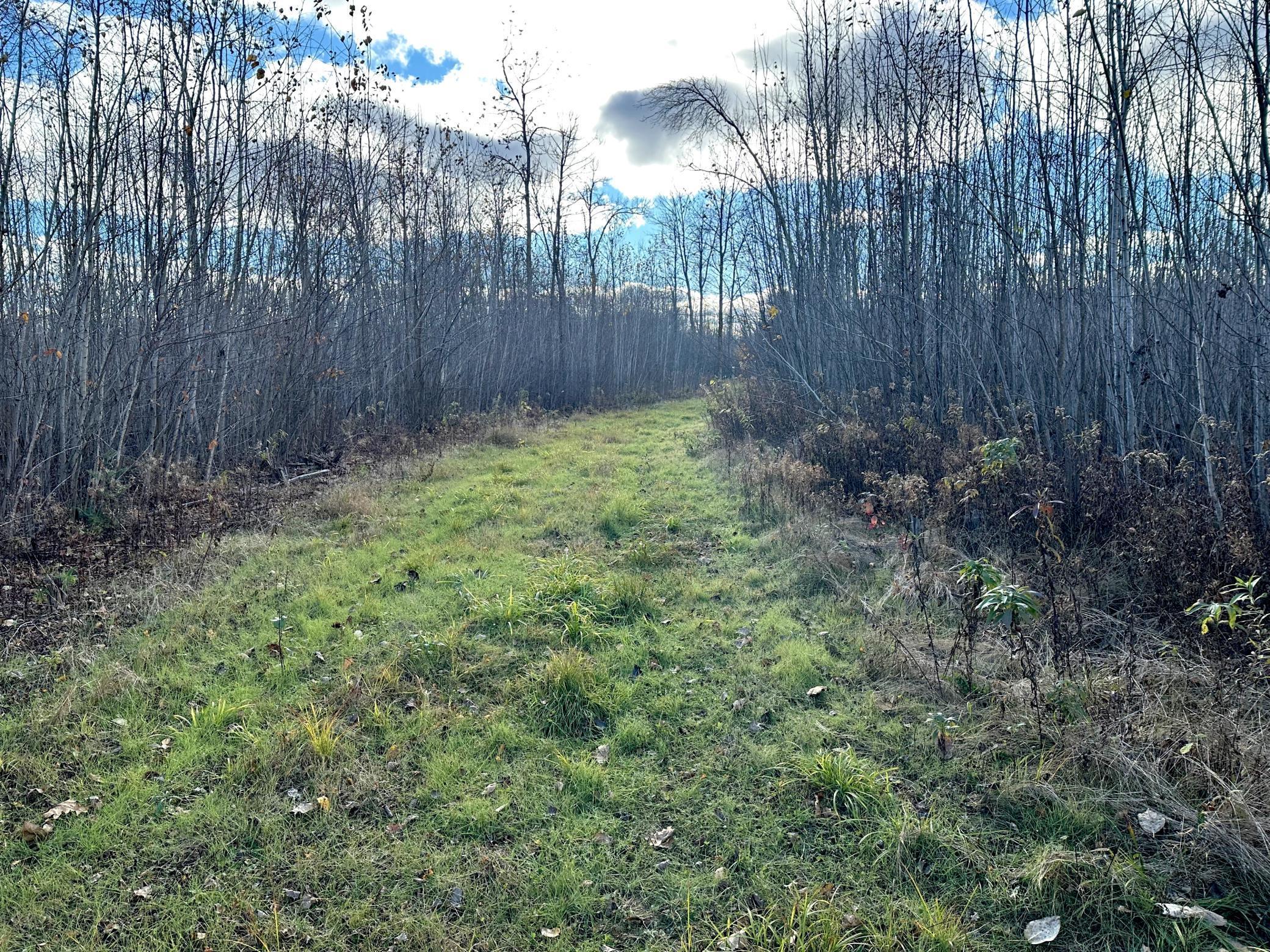 65 Jacobson Mn 55752 Jacobson, MN 55752 - Photo 46 of 62