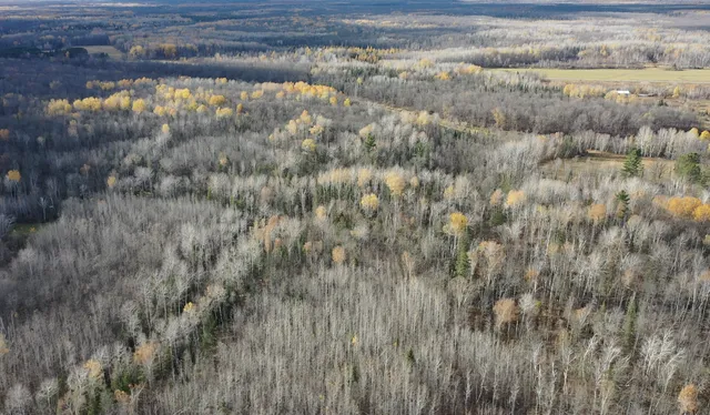 $239,000 | 65 Verdon Twp Mn 55752, Jacobson, MN 55752