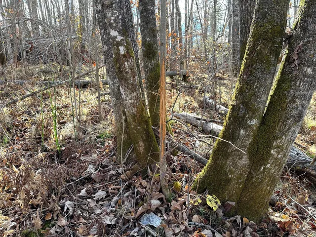 $239,000 | 65 Verdon Twp Mn 55752, Jacobson, MN 55752