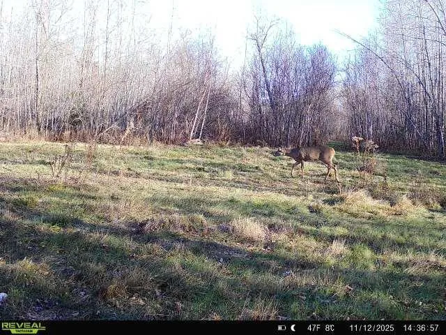 $239,000 | 65 Verdon Twp Mn 55752, Jacobson, MN 55752