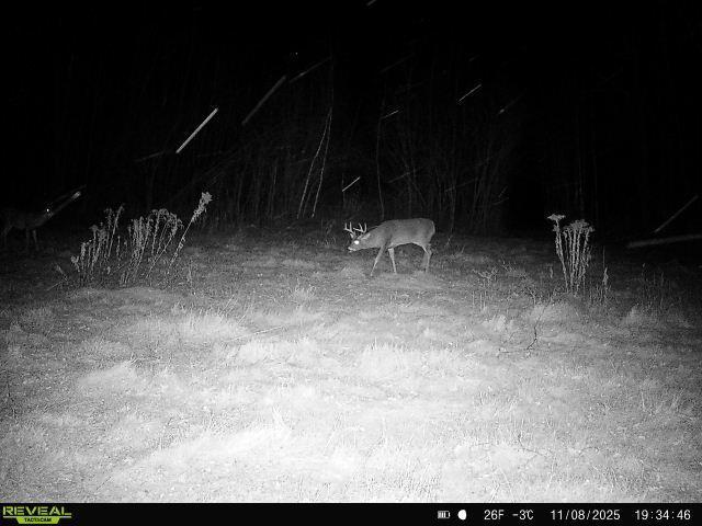 65 Jacobson Mn 55752 Jacobson, MN 55752 - Photo 55 of 62