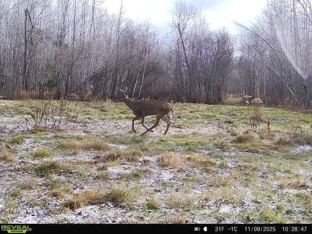 $239,000 | 65 Verdon Twp Mn 55752, Jacobson, MN 55752