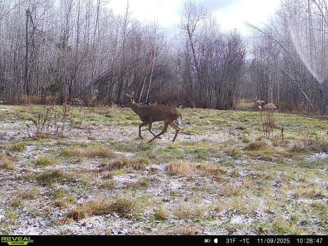 65 Jacobson Mn 55752 Jacobson, MN 55752 - Photo 57 of 62