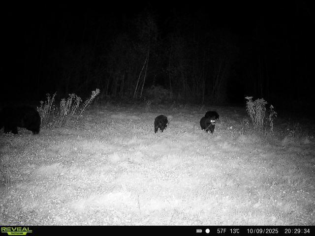 65 Jacobson Mn 55752 Jacobson, MN 55752 - Photo 59 of 62