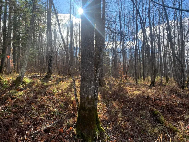 $239,000 | 65 Verdon Twp Mn 55752, Jacobson, MN 55752