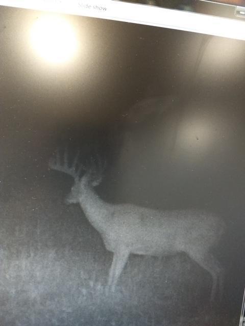 65 Jacobson Mn 55752 Jacobson, MN 55752 - Photo 61 of 62